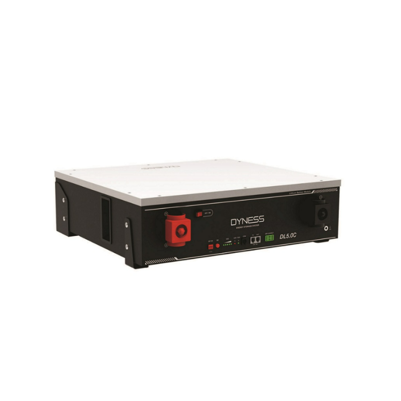 Batería Litio 5.1kWh Dyness DL5.0C PRO 48V