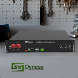 Batería Litio 2.4kWh Dyness B4850 48V