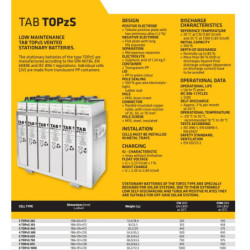 12 Baterías TAB 8 TOPzS 875-1137Ah 2v