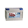c805a9_ecfa317f4eab4a80968f0c709e28494d~mv2.jpg