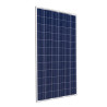 Panel Solar PlusEnergy 350W Policristalino 12V 24V 48V 72CELL